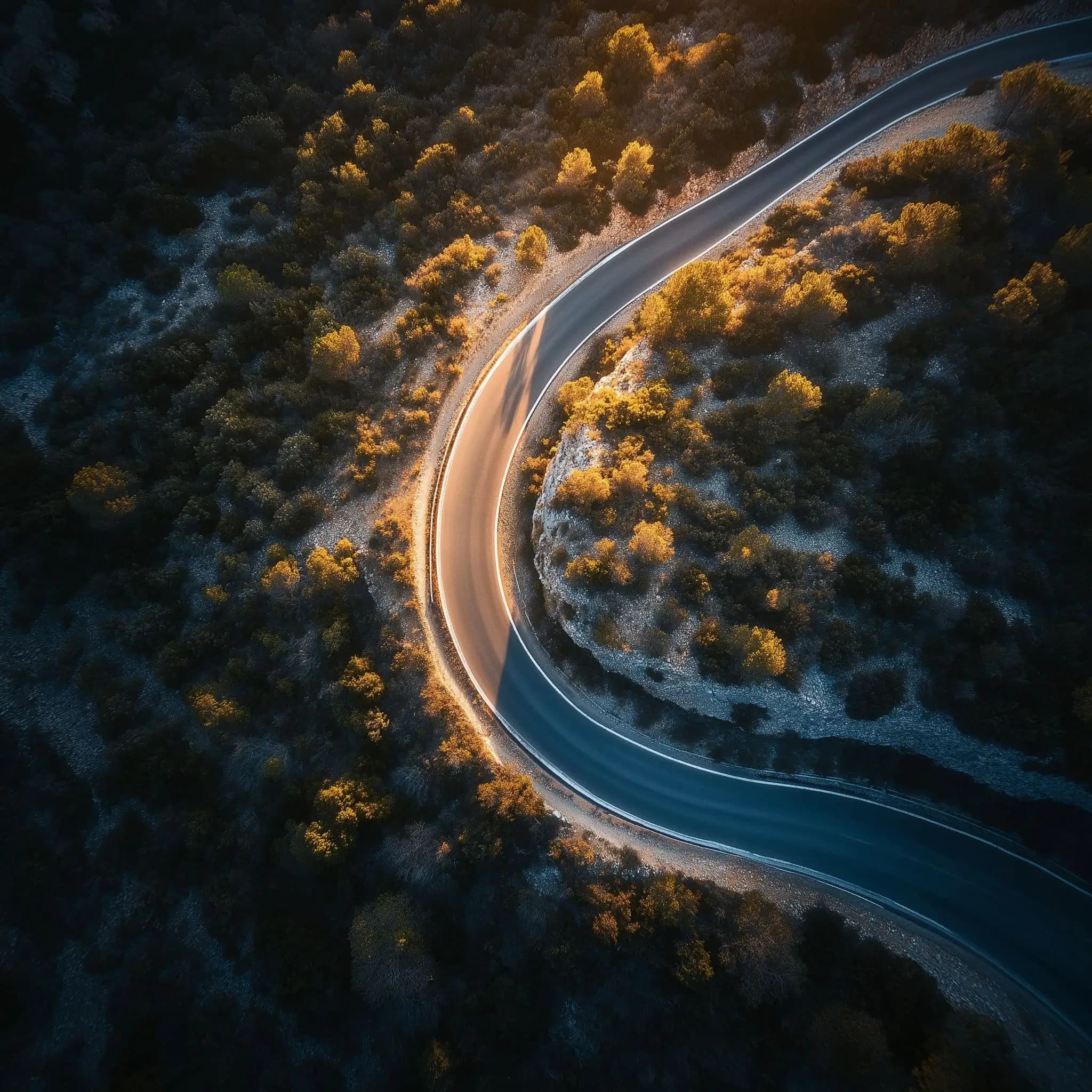 Why Independent Director Services Matter