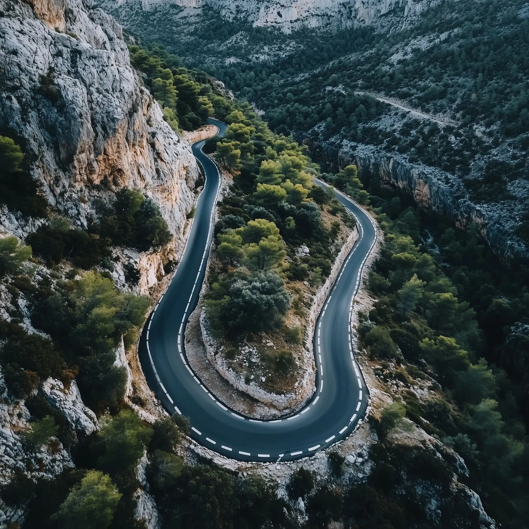 Why Strategic Guidance Matters